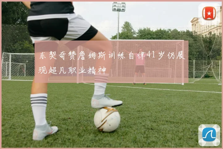 东契奇赞詹姆斯训练自律41岁仍展现超凡职业精神