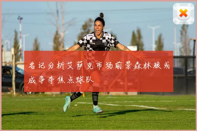 名记分析艾萨克市场前景森林狼或成争夺焦点球队