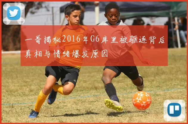 一哥揭秘2016年G6库里被驱逐背后真相与情绪爆发原因